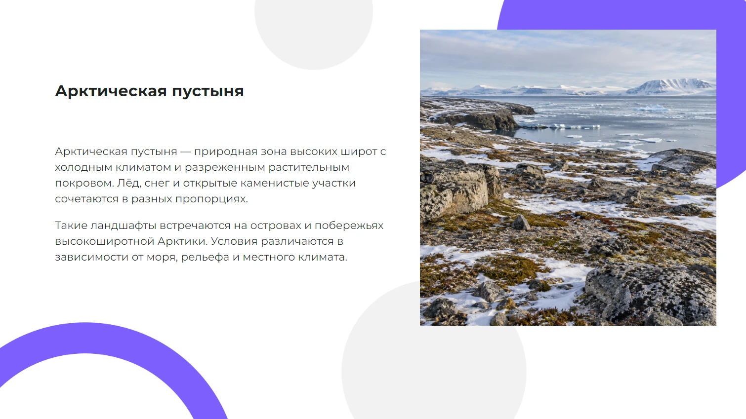 Арктическая пустыня
