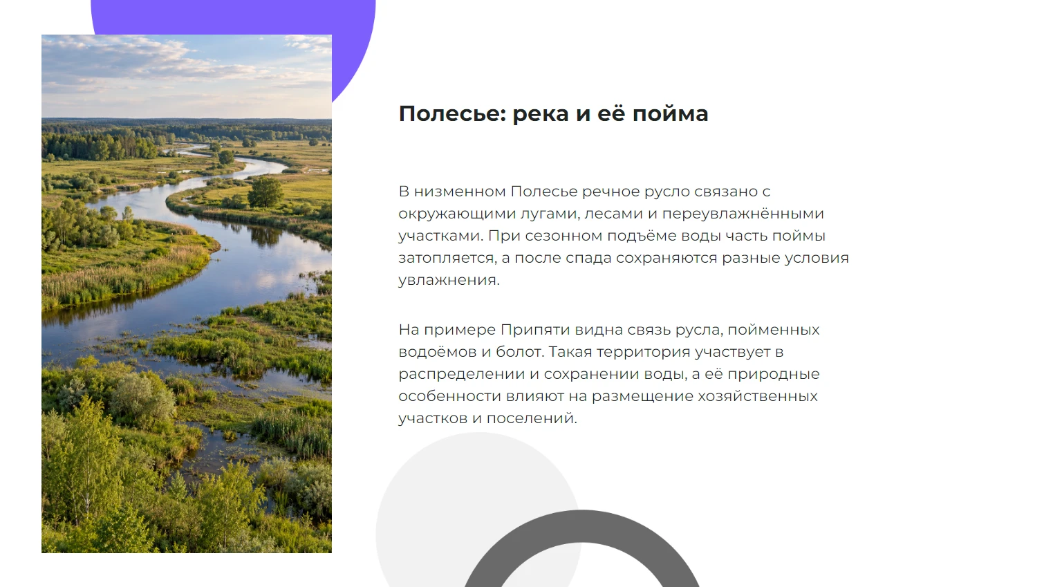 Полесье: река и её пойма