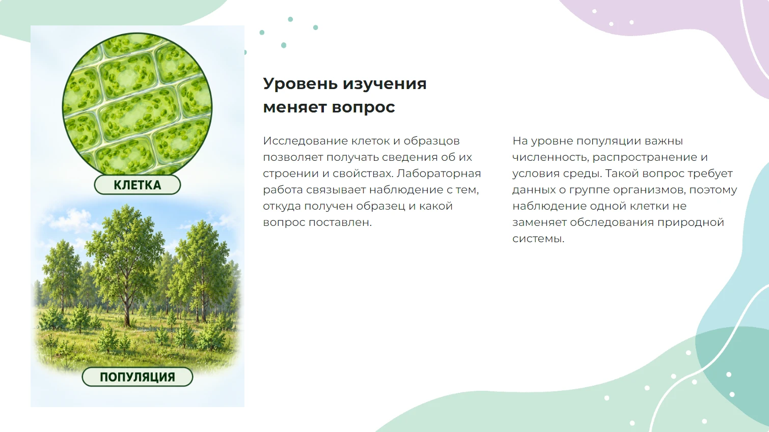 Уровень изучения меняет вопрос