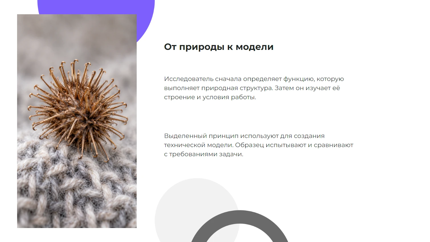 От природы к модели