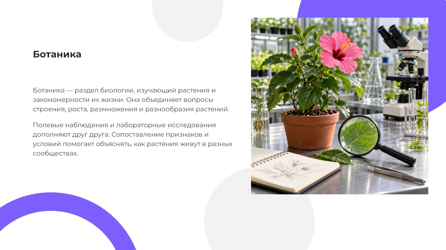 Ботаника