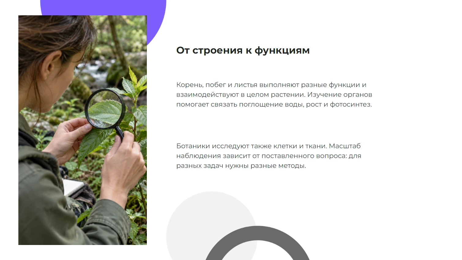 От строения к функциям