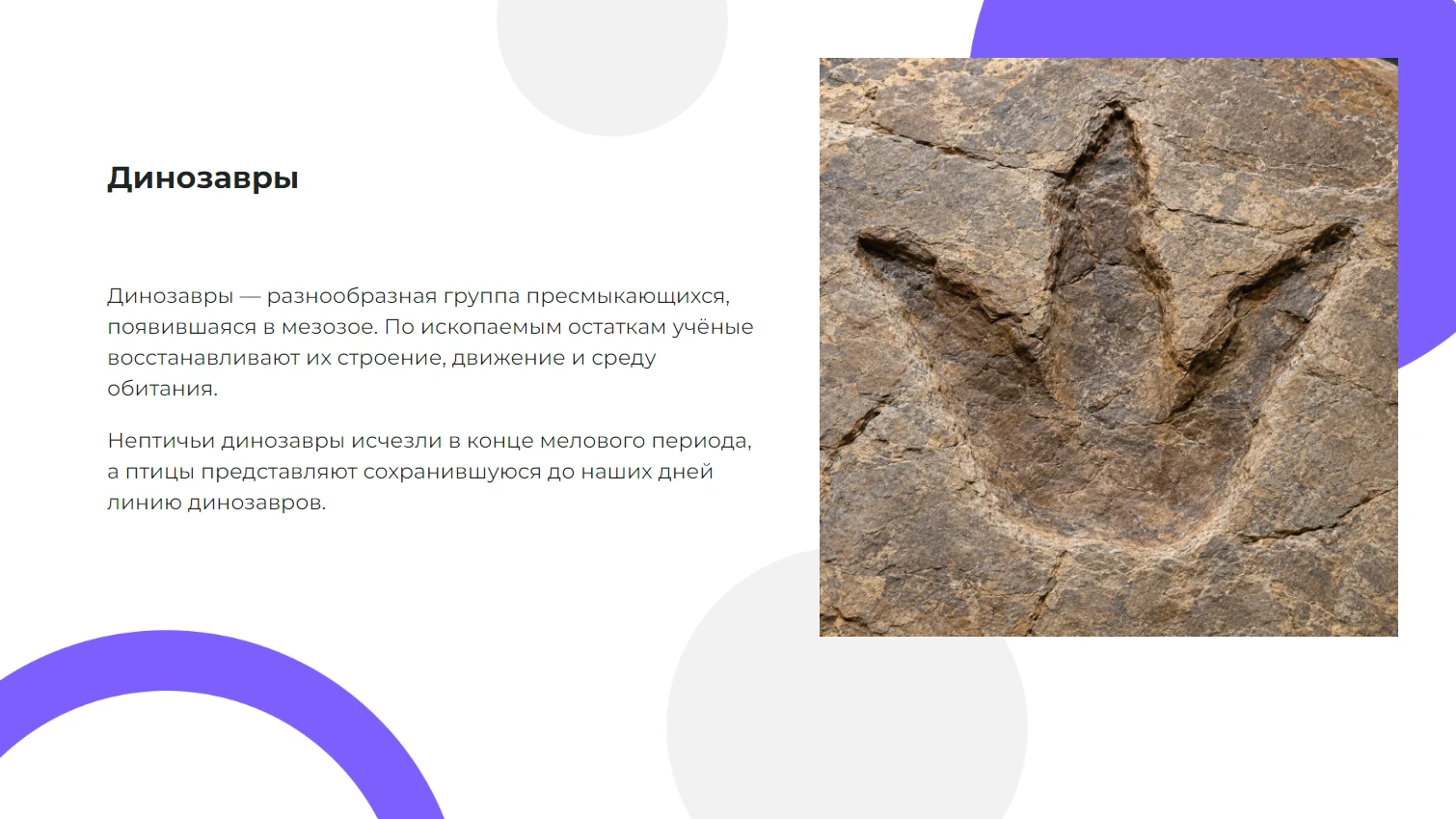 Динозавры - готовая презентация по биологии