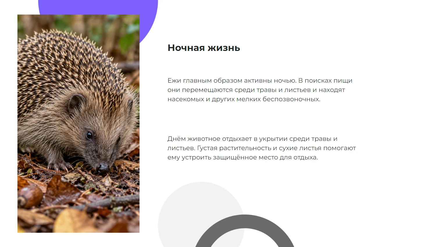 Ночная жизнь