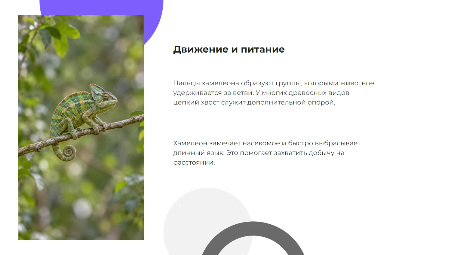 Движение и питание