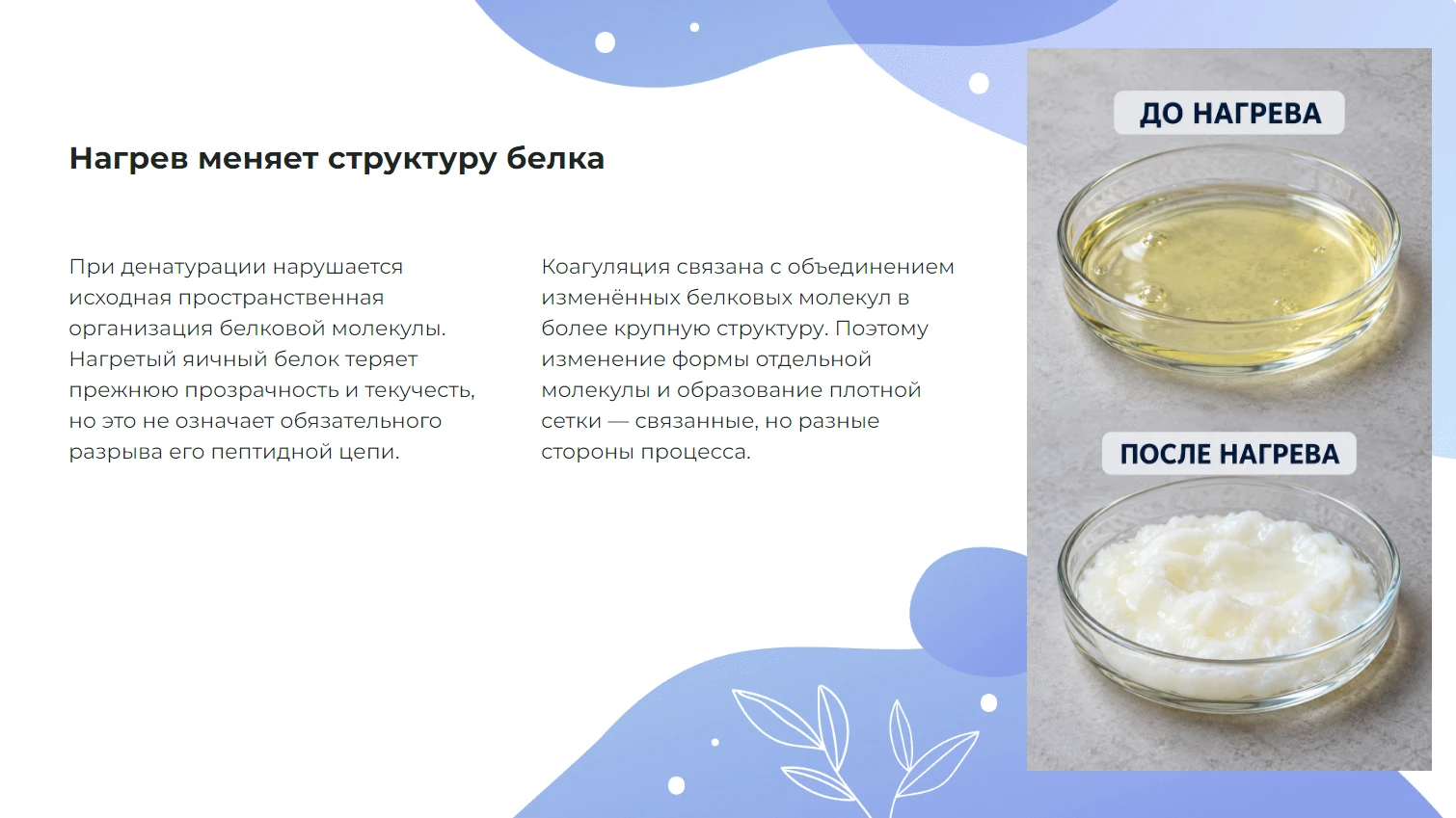 Нагрев меняет структуру белка