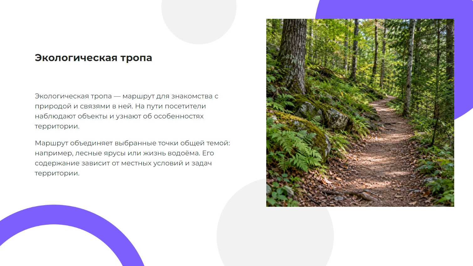 Экологическая тропа - готовая презентация