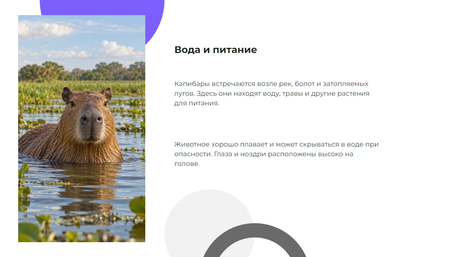 Вода и питание