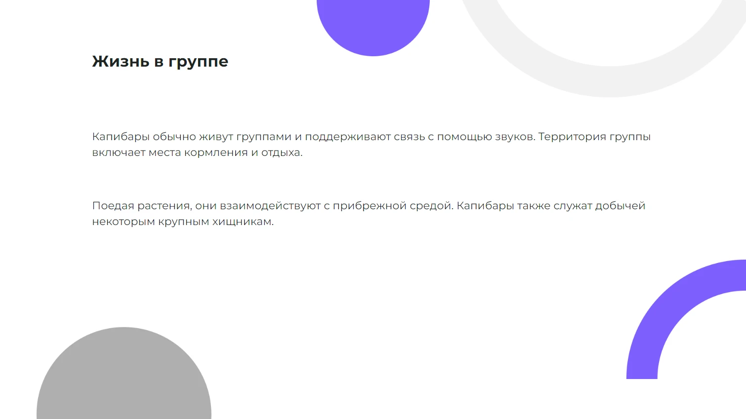 Жизнь в группе