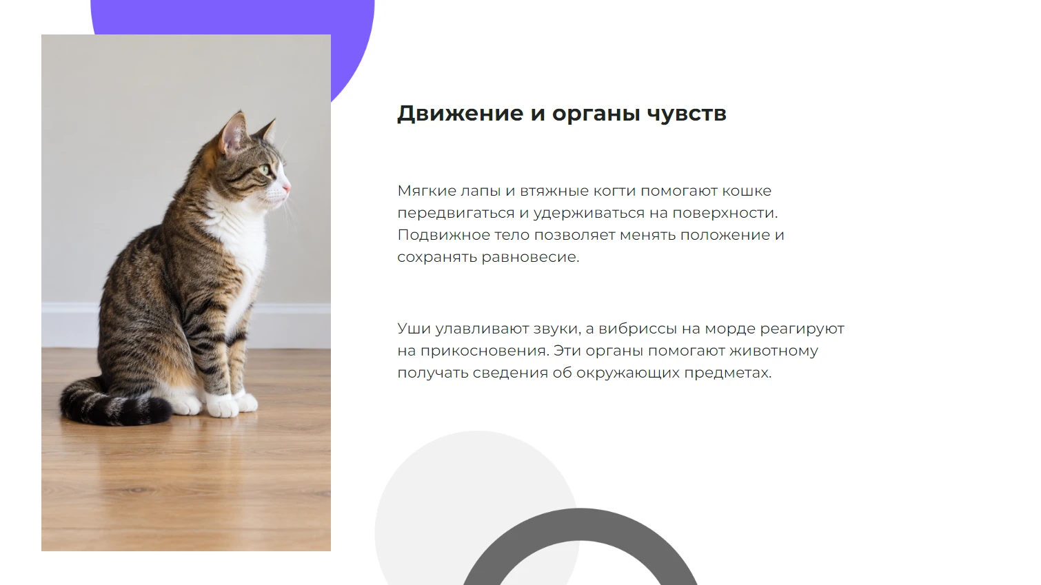 Движение и органы чувств