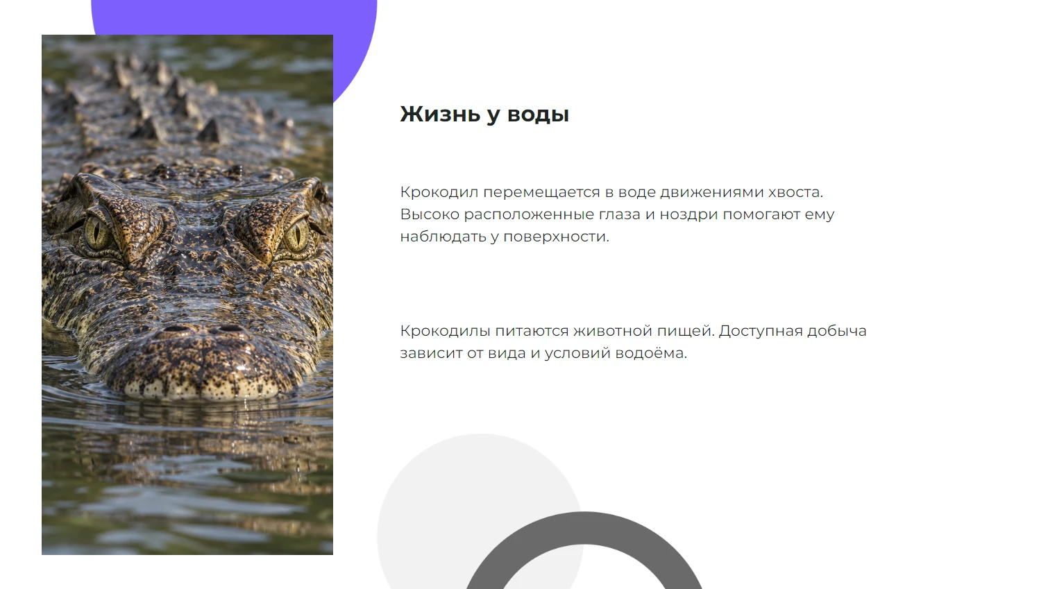 Жизнь у воды
