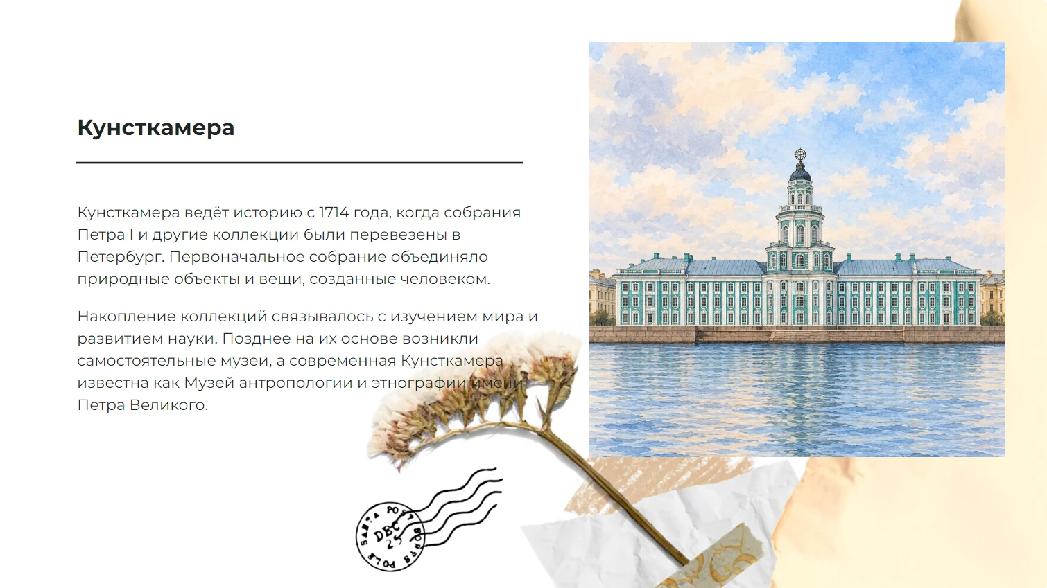 Кунсткамера - готовая презентация по искусству и культуре