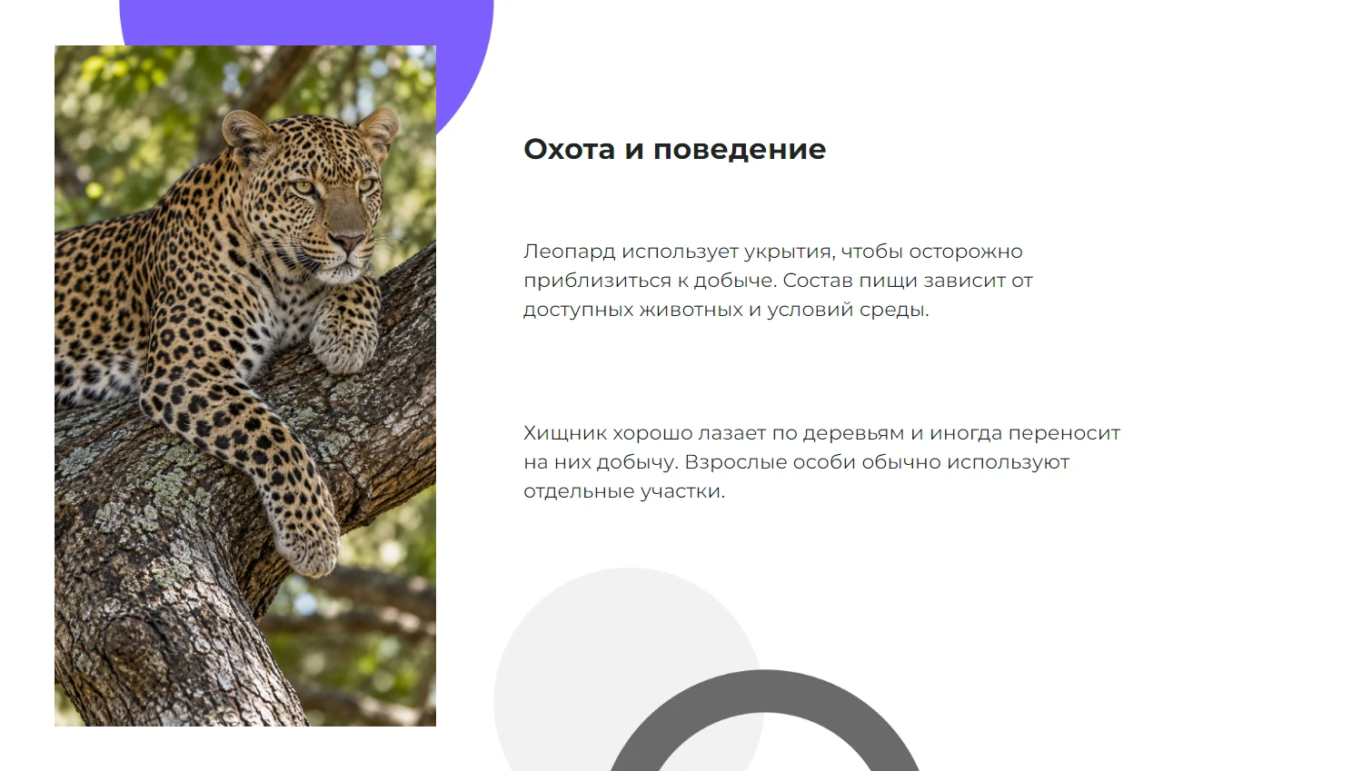 Охота и поведение