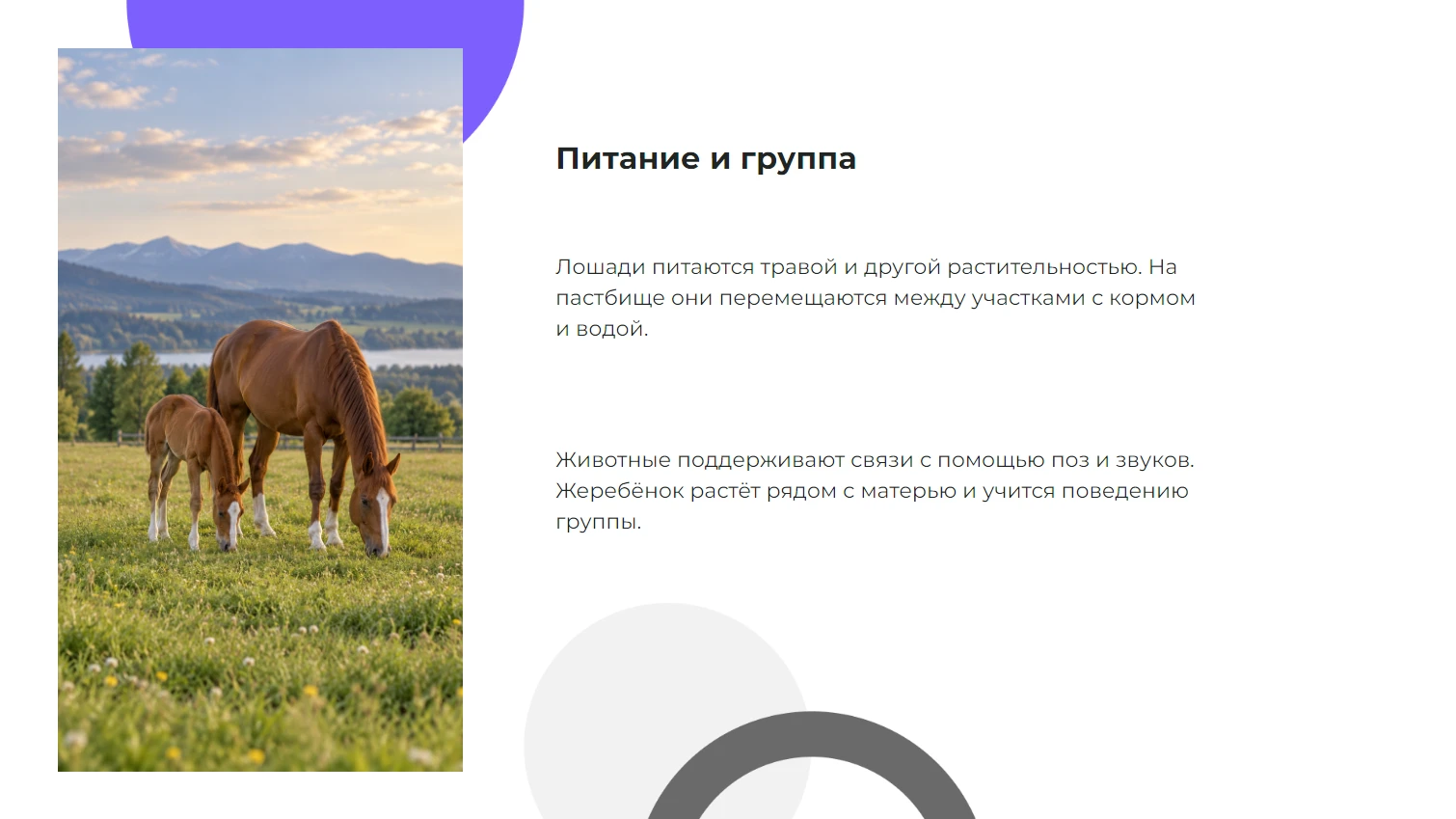 Питание и группа