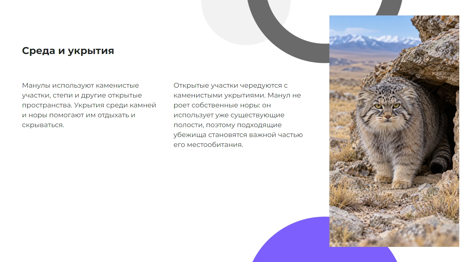 Среда и укрытия