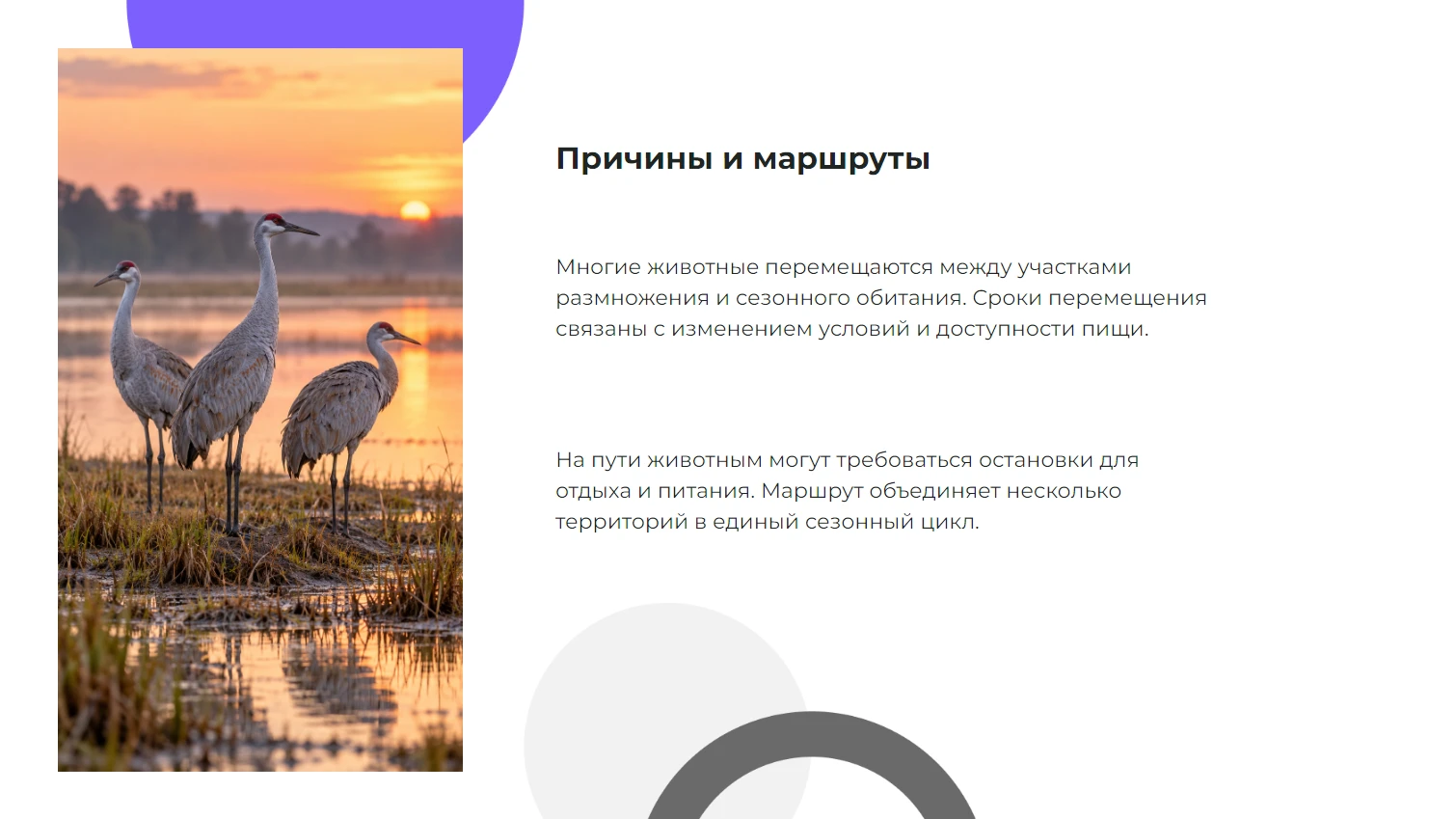 Причины и маршруты