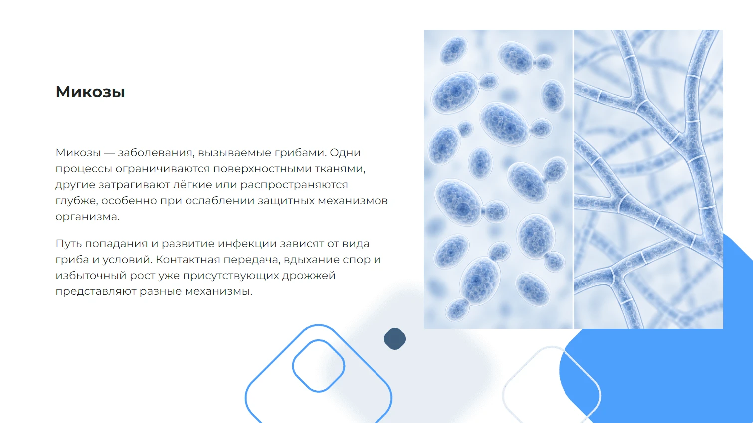 Микозы - готовая учебная презентация