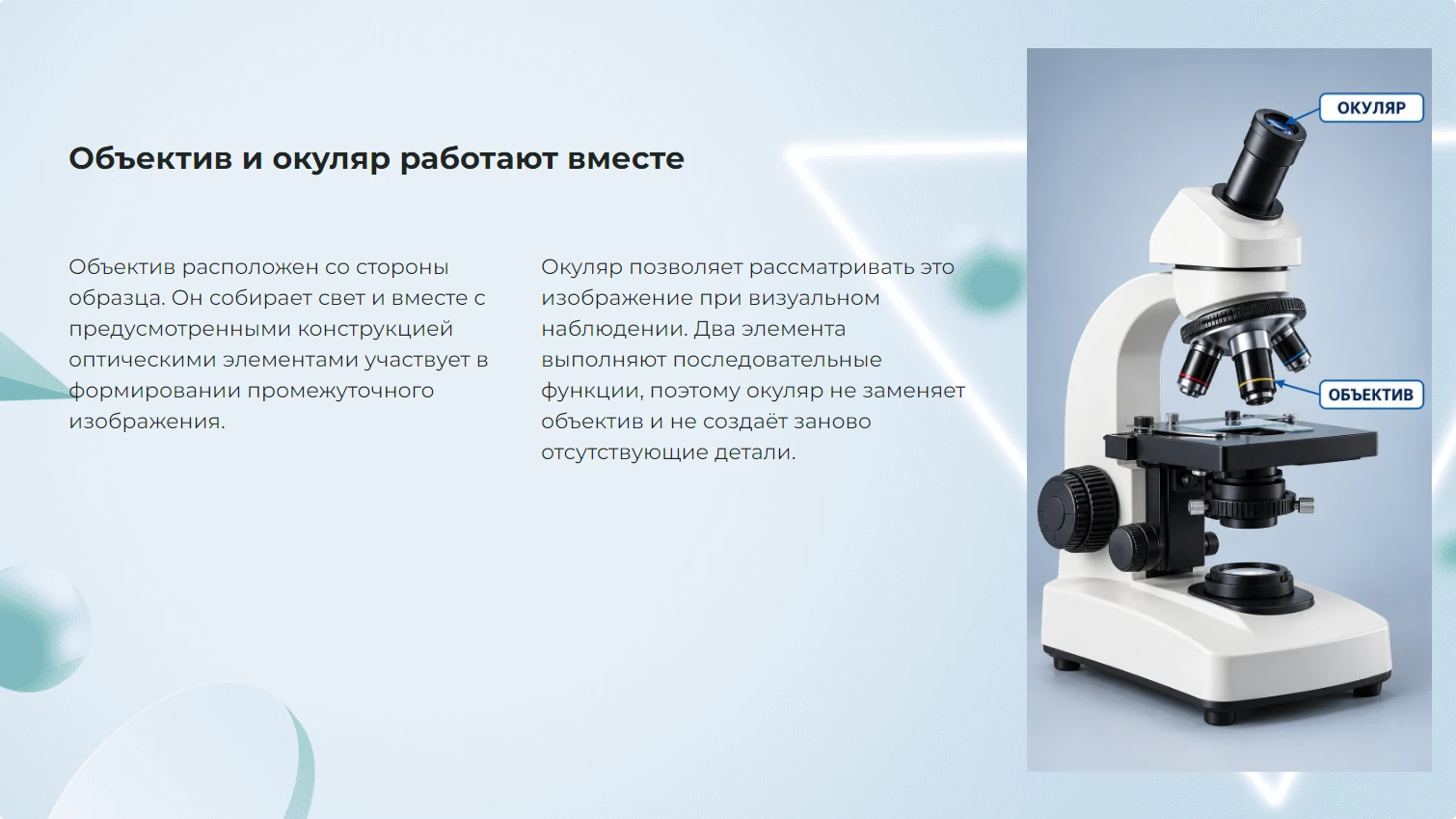 Объектив и окуляр работают вместе