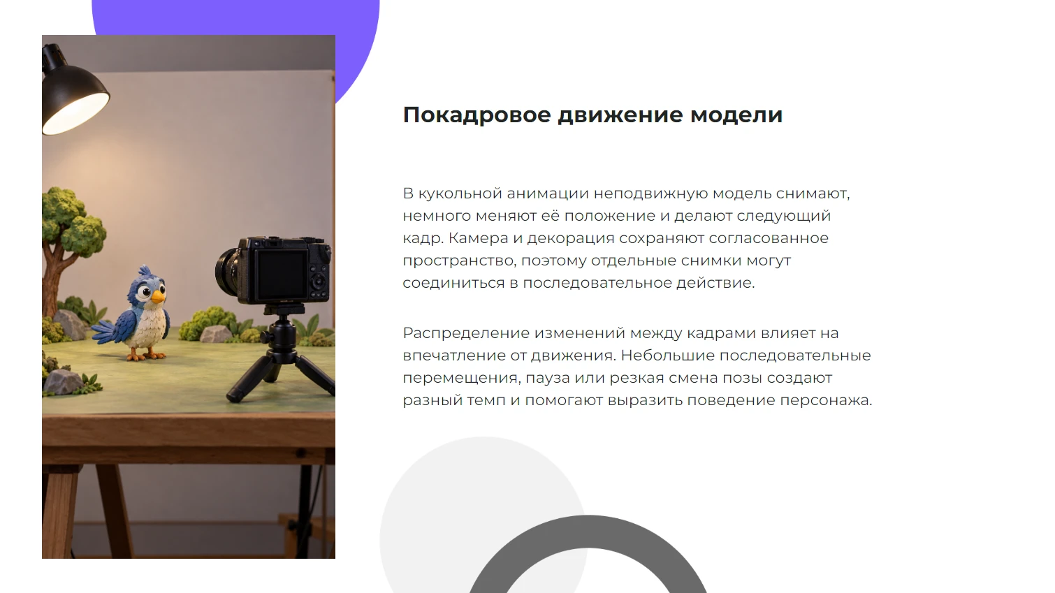 Покадровое движение модели