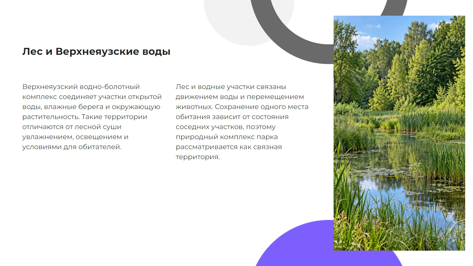 Лес и Верхнеяузские воды