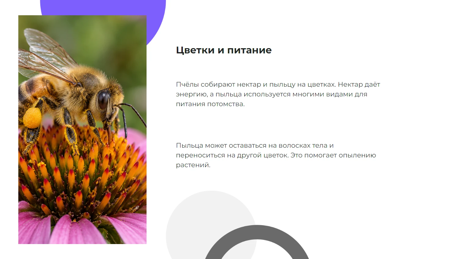 Цветки и питание