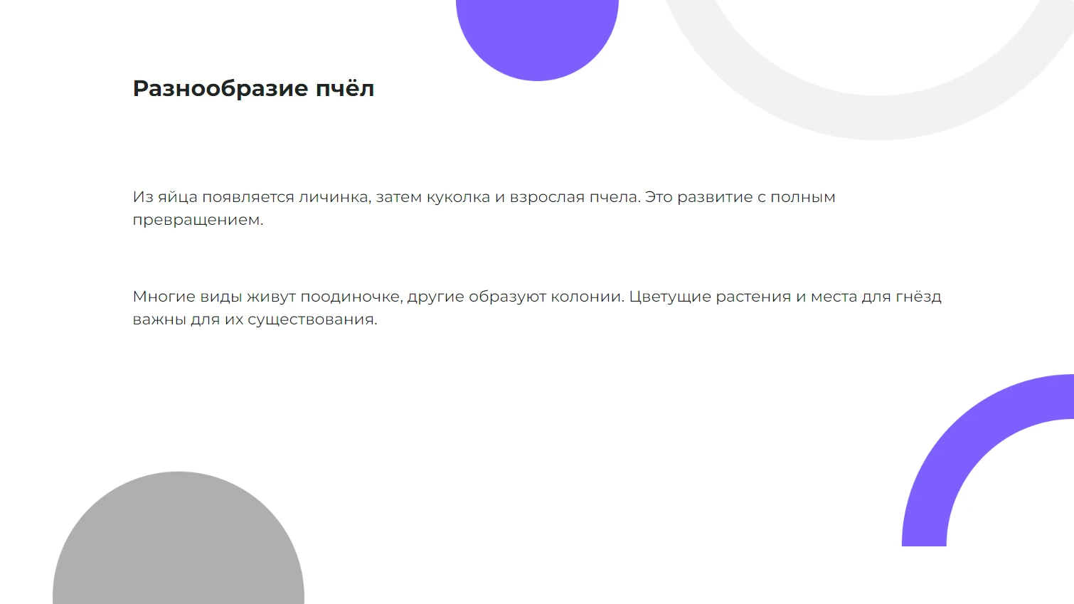 Разнообразие пчёл