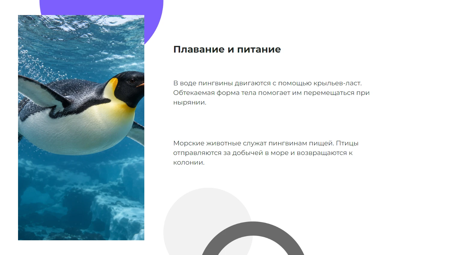 Плавание и питание