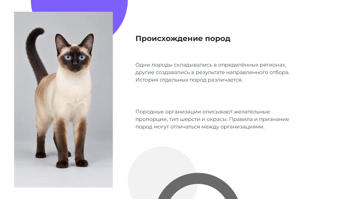 Происхождение пород