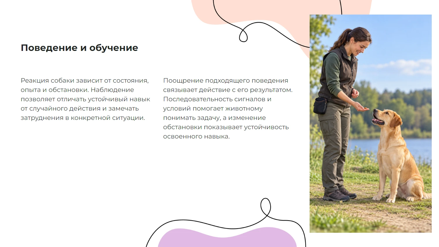 Поведение и обучение