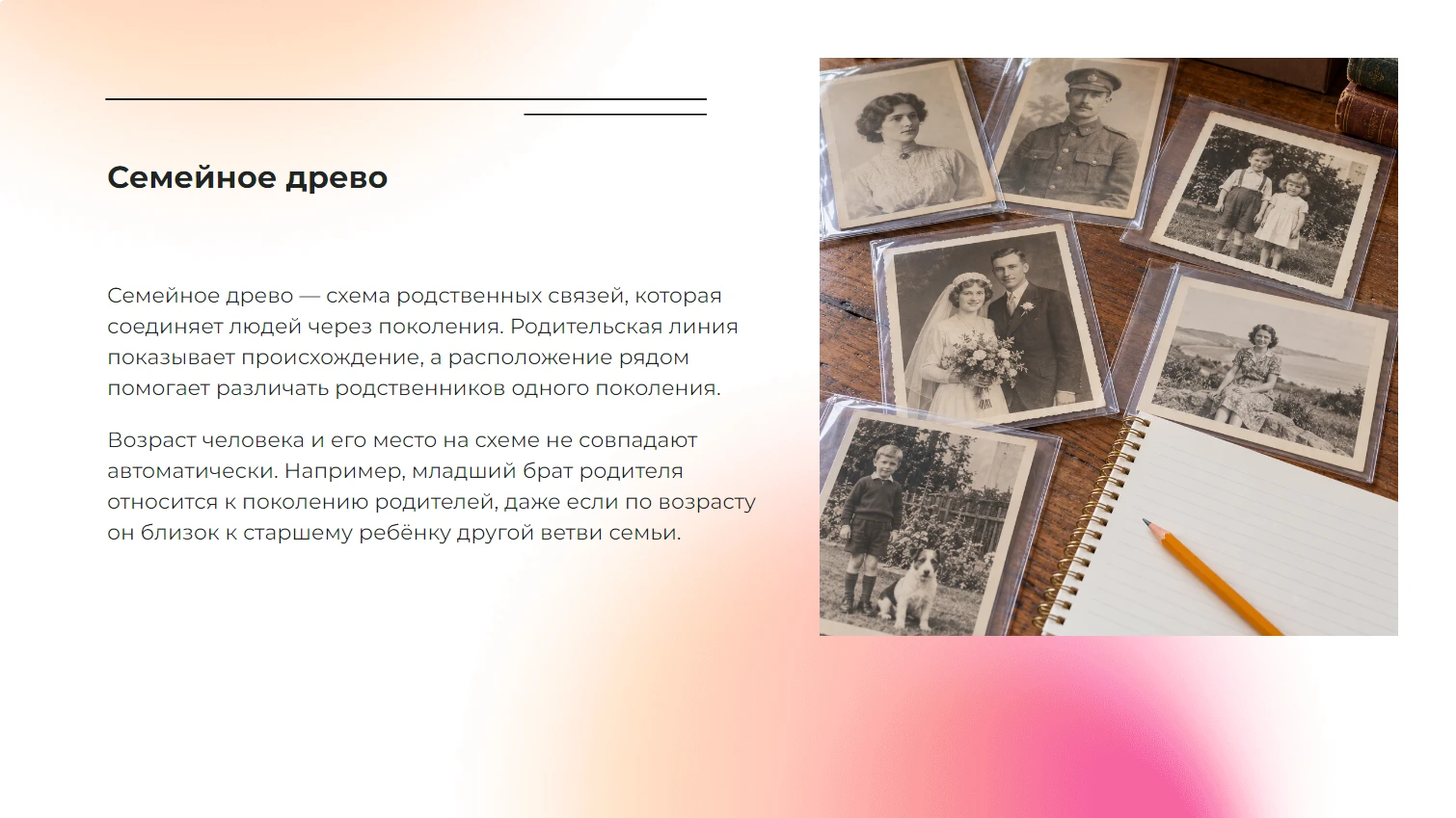 Семейное древо - готовая учебная презентация