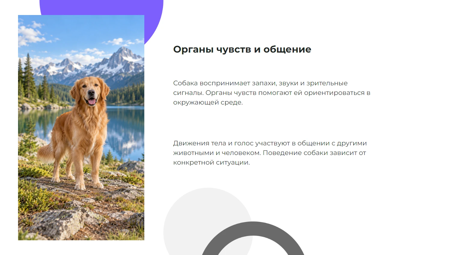 Органы чувств и общение