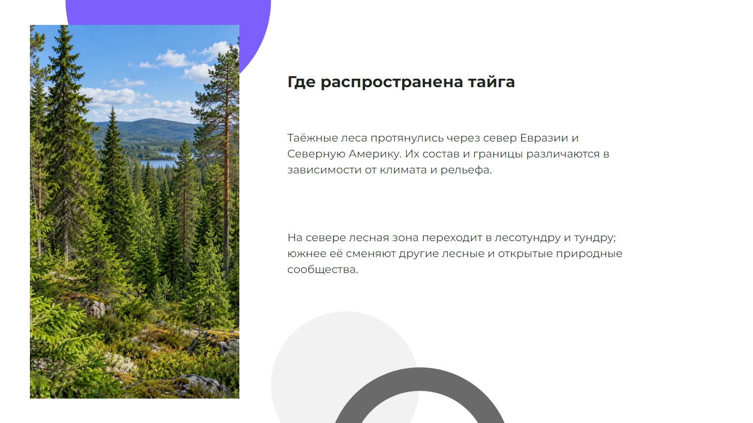 Где распространена тайга