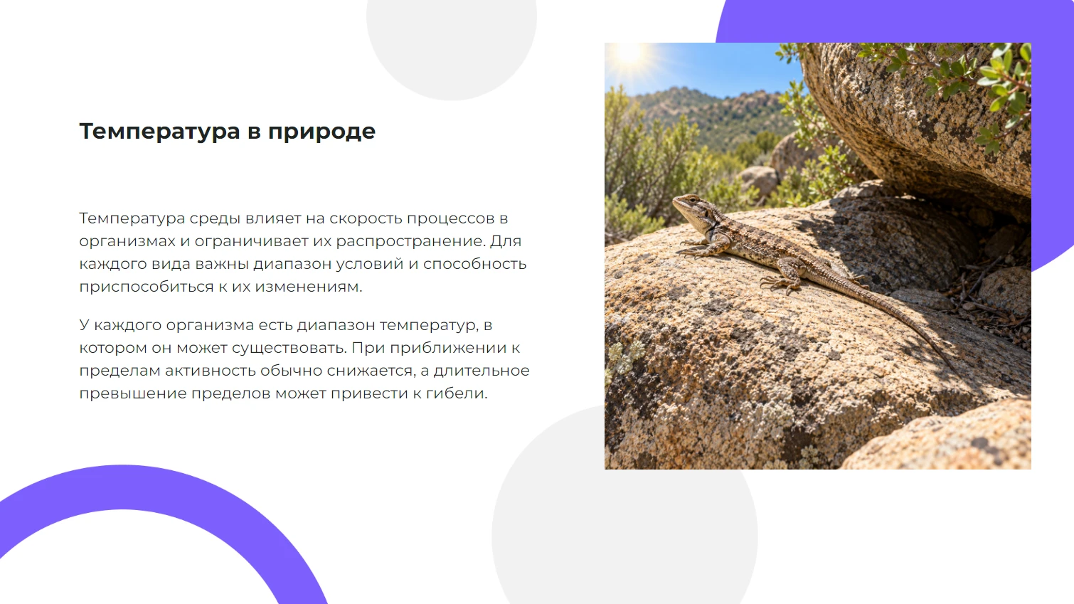 Температура в природе