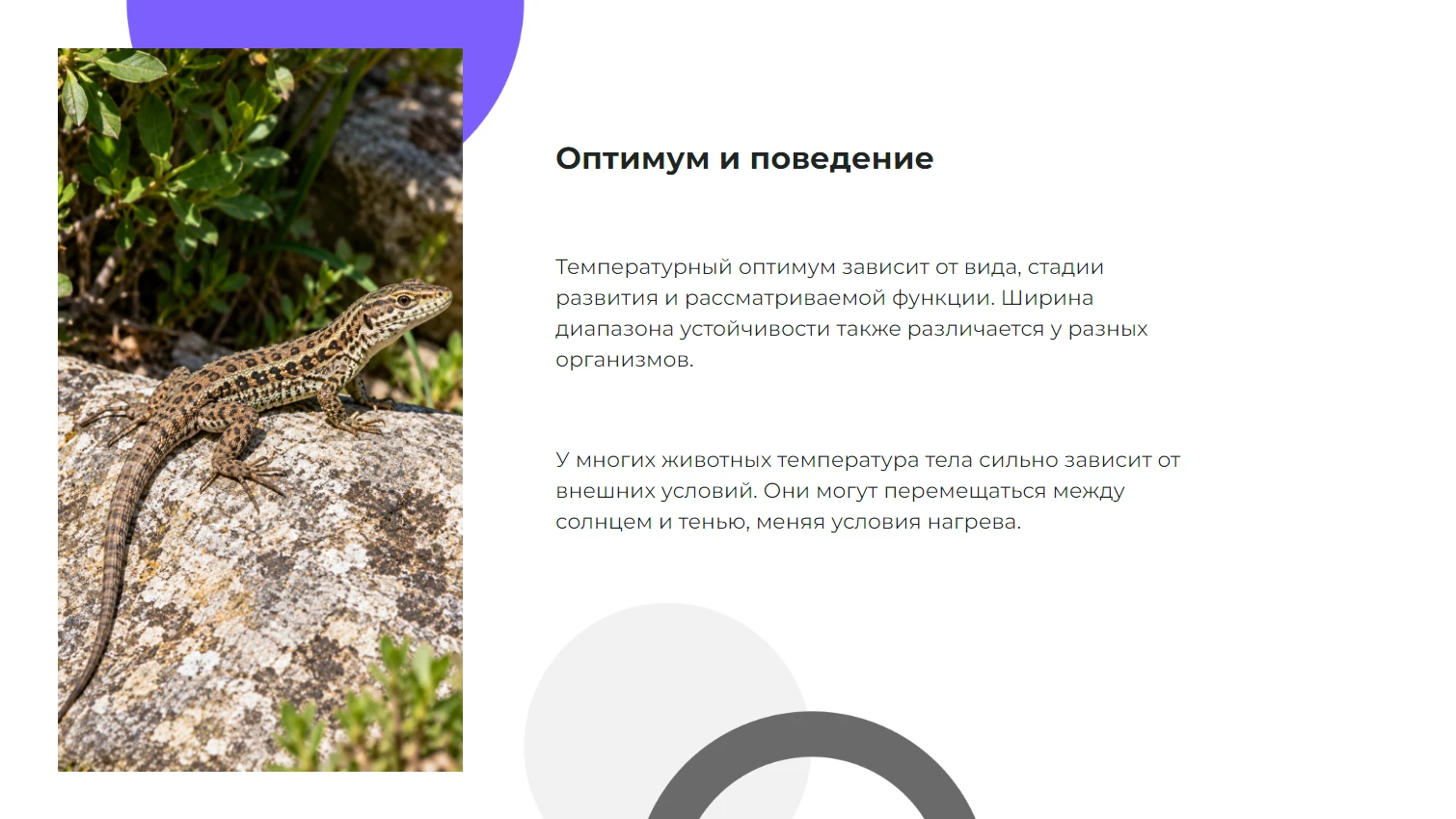 Оптимум и поведение