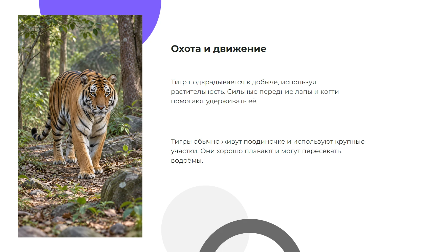 Охота и движение