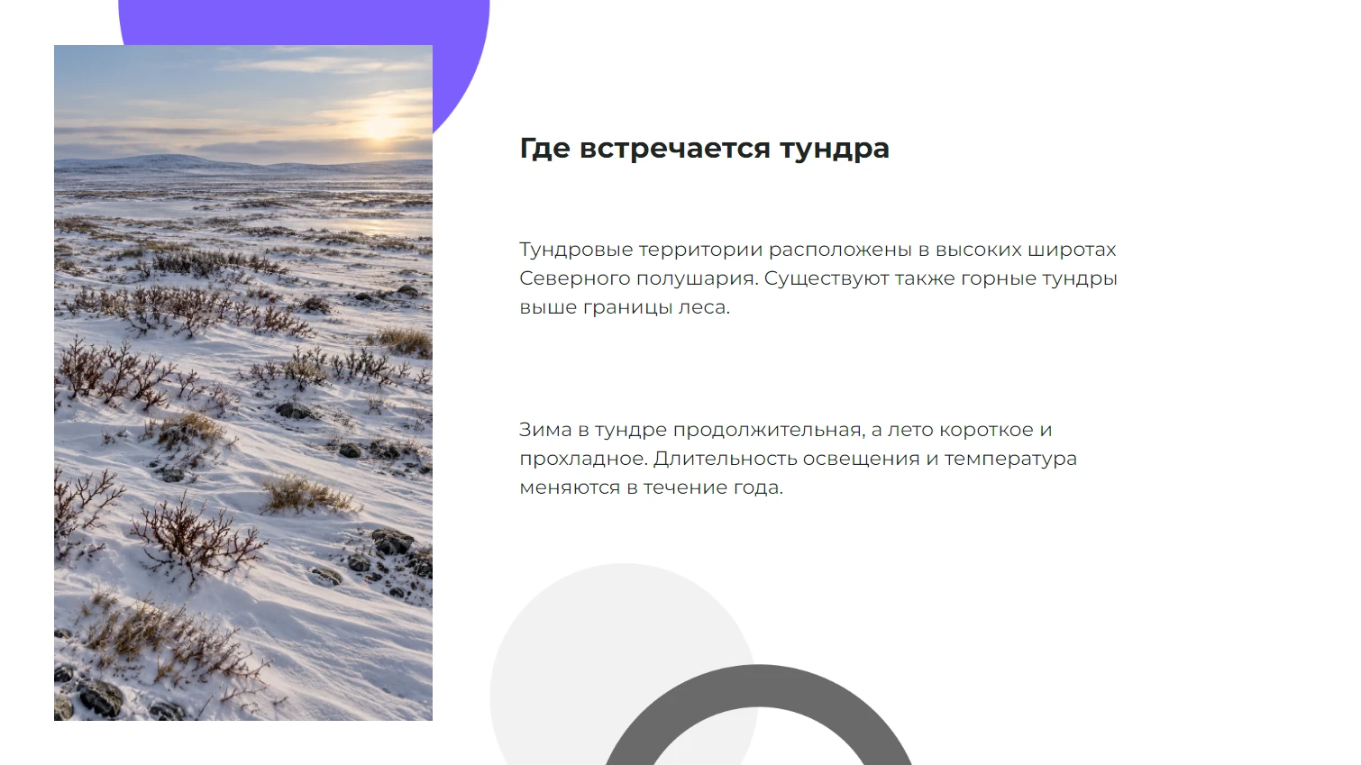 Где встречается тундра