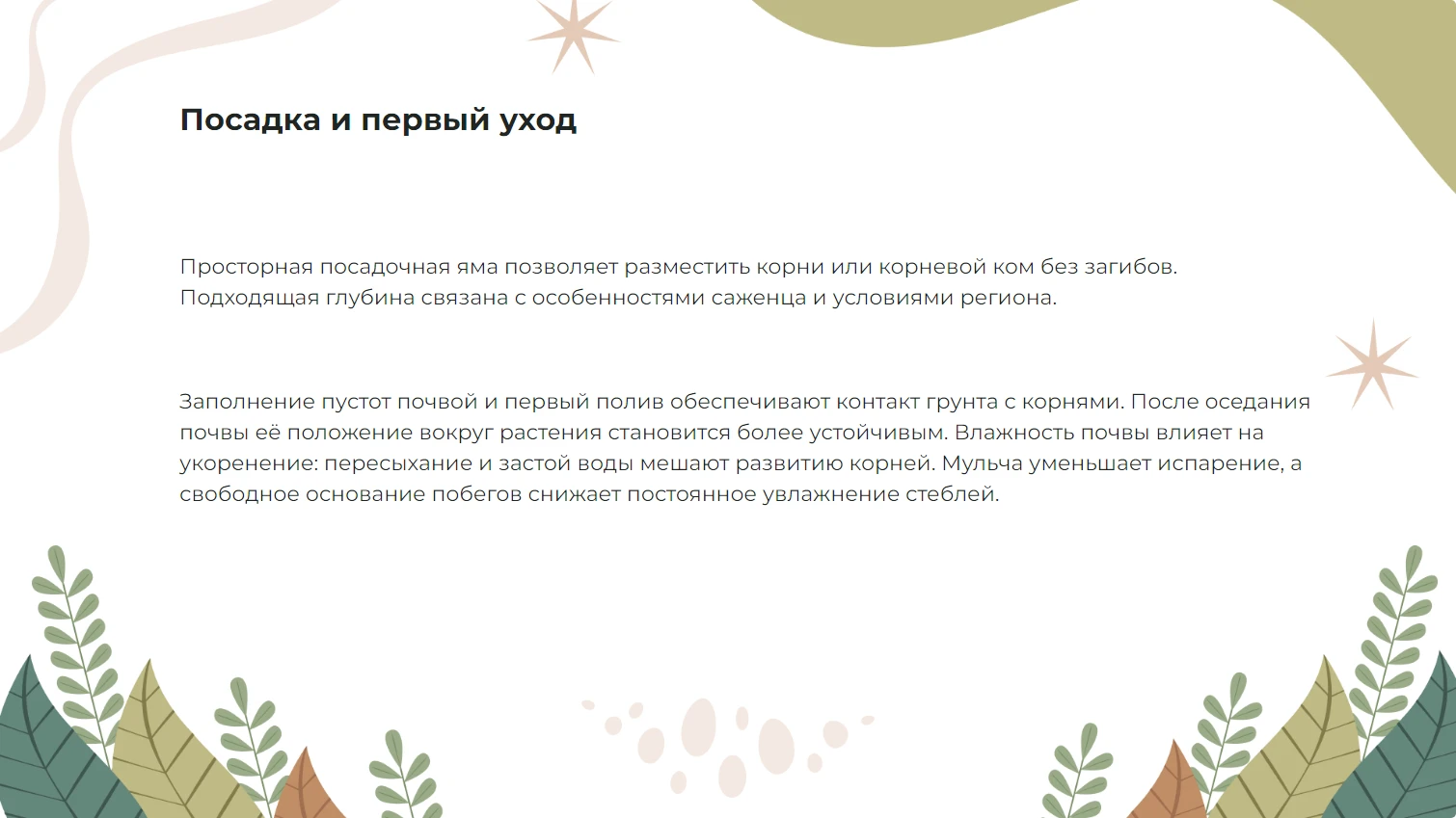 Посадка и первый уход