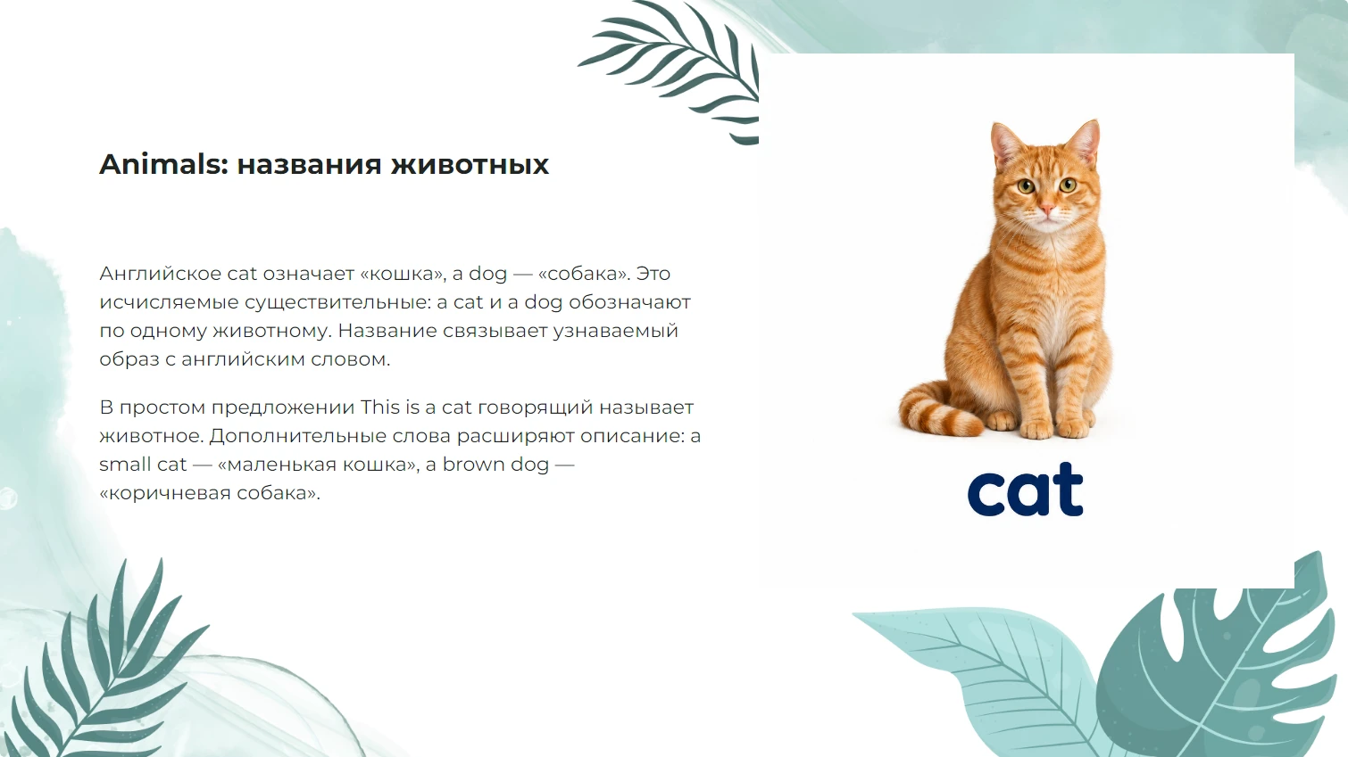 Animals: названия животных