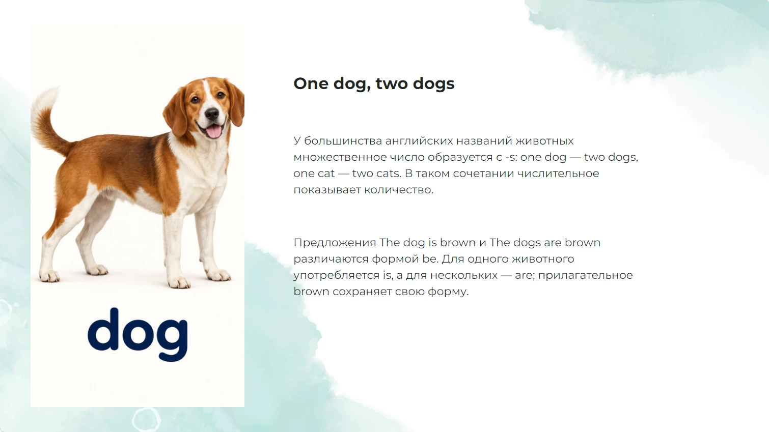 One dog, two dogs
