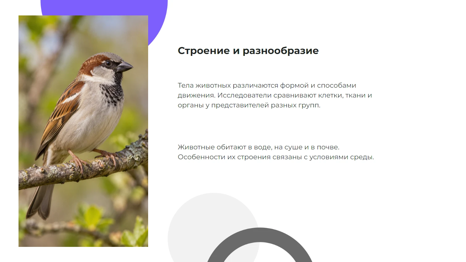 Строение и разнообразие