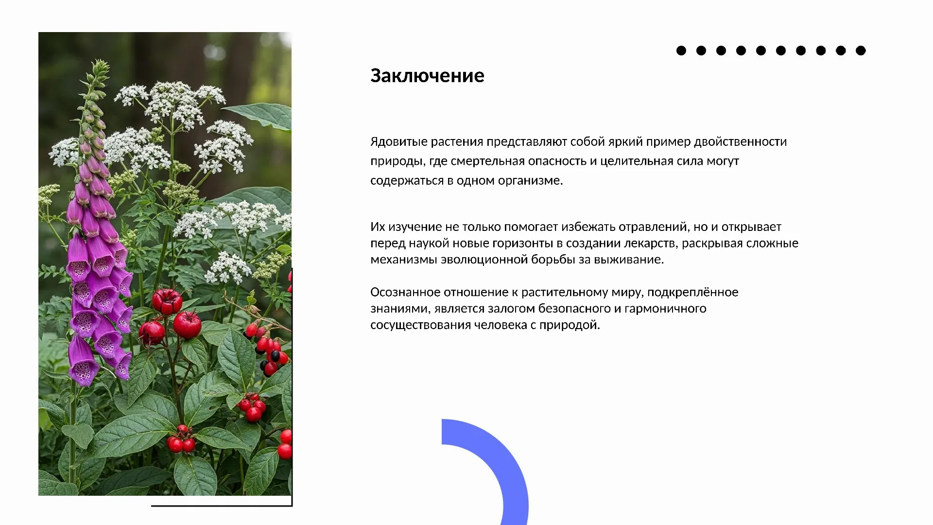 Заключение