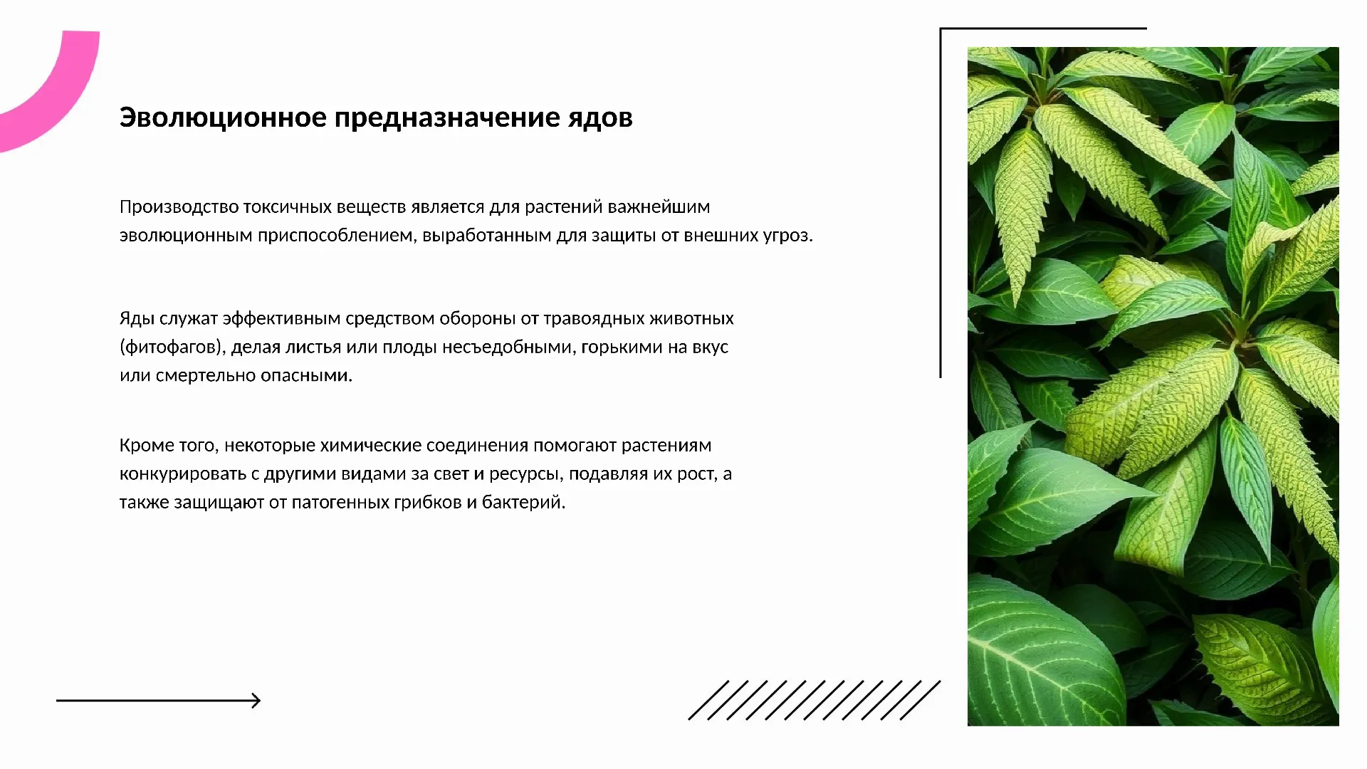 Эволюционное предназначение ядов