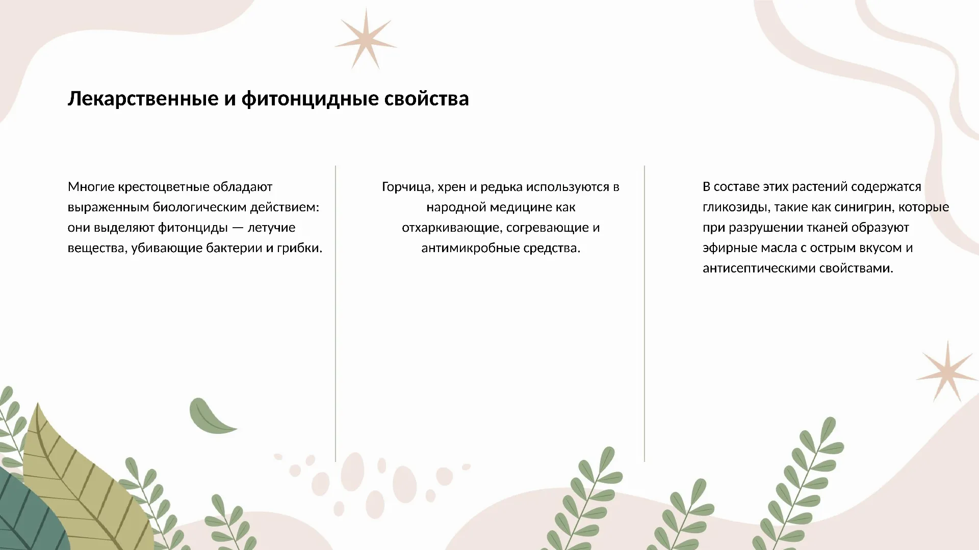 Лекарственные и фитонцидные свойства