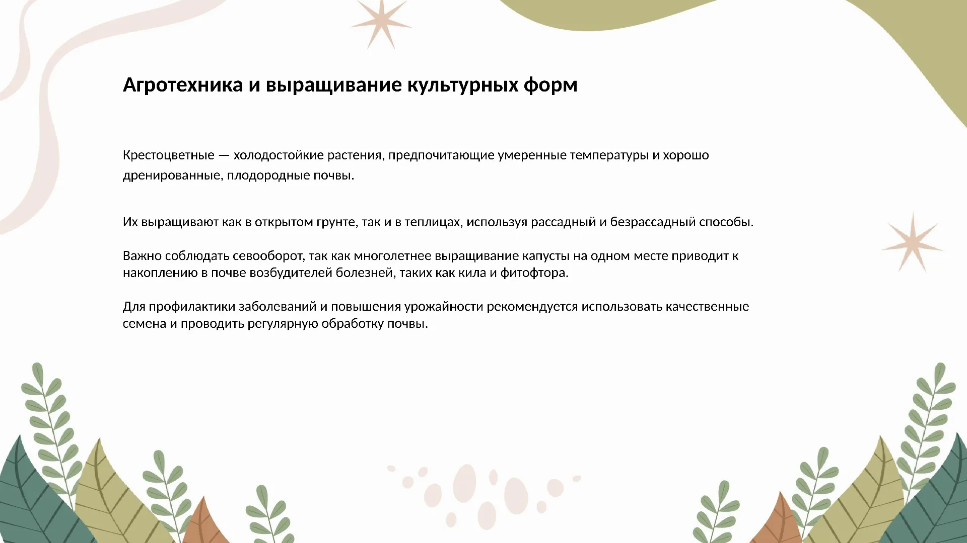 Агротехника и выращивание культурных форм