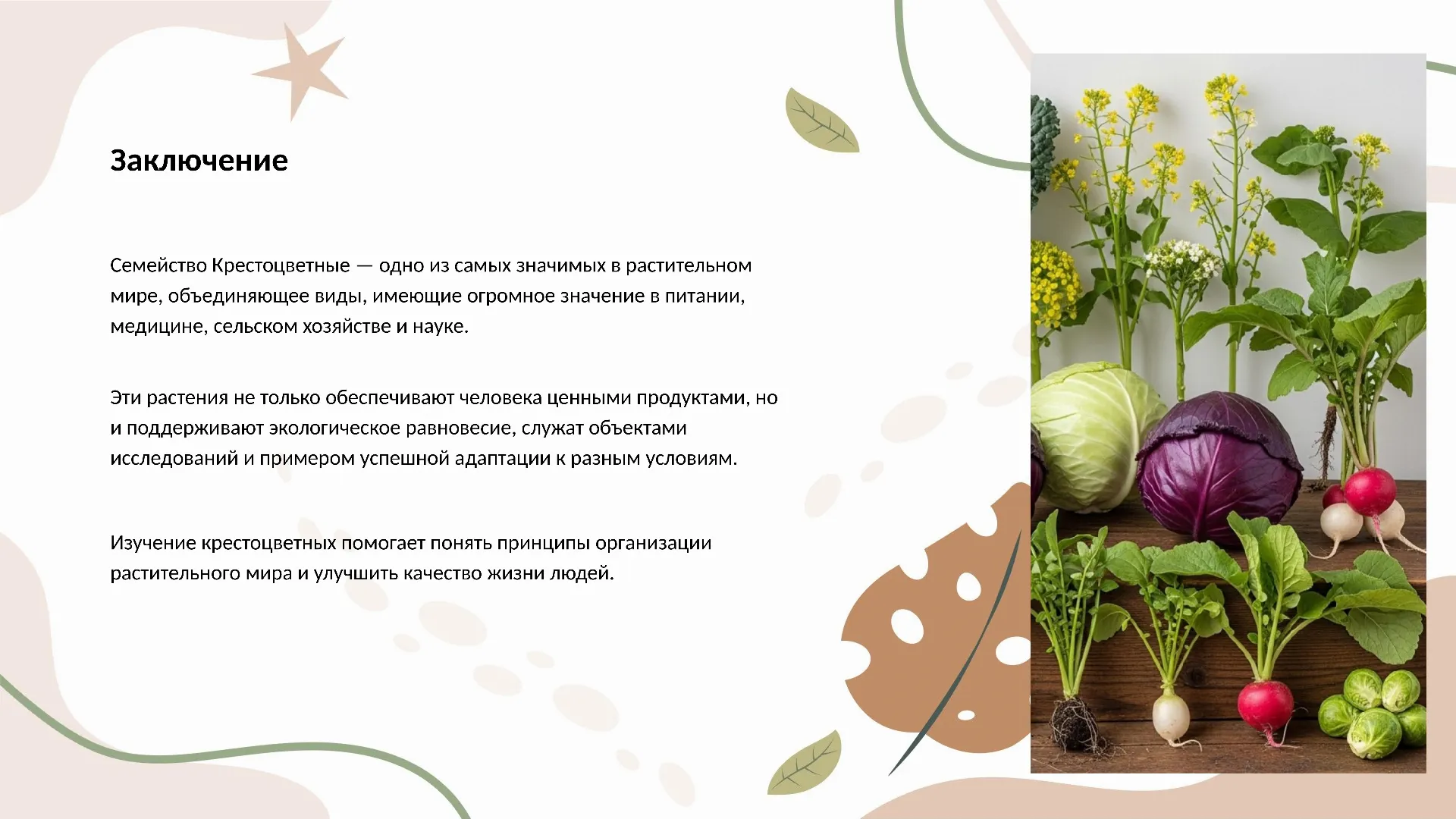 Заключение