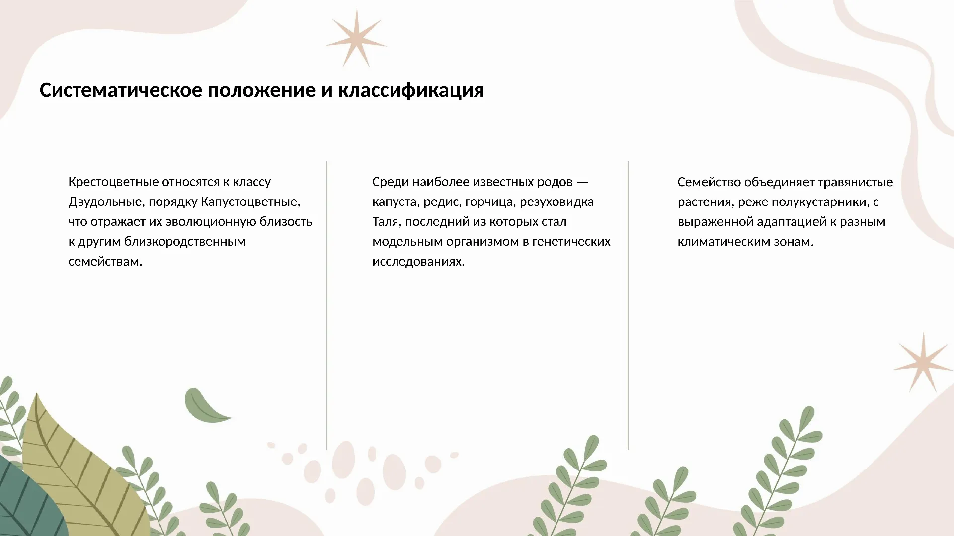 Систематическое положение и классификация