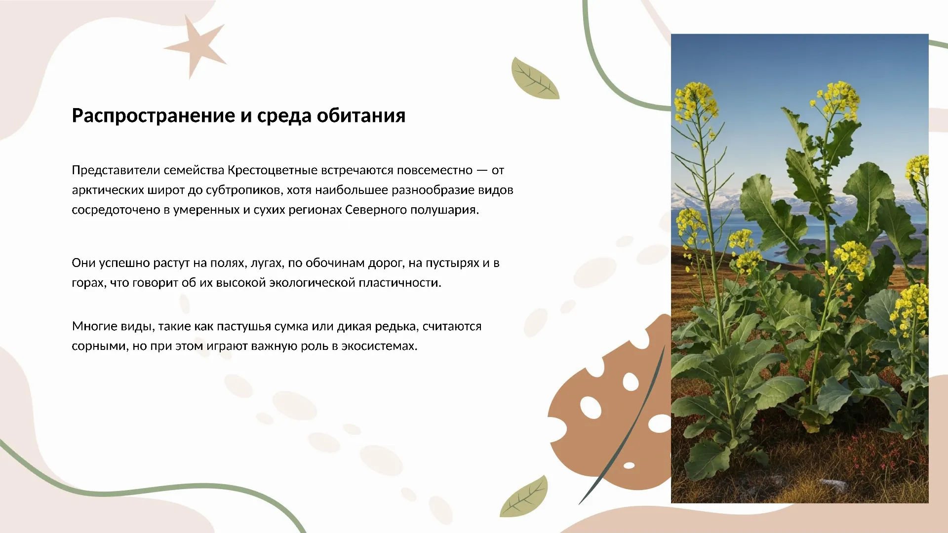 Распространение и среда обитания