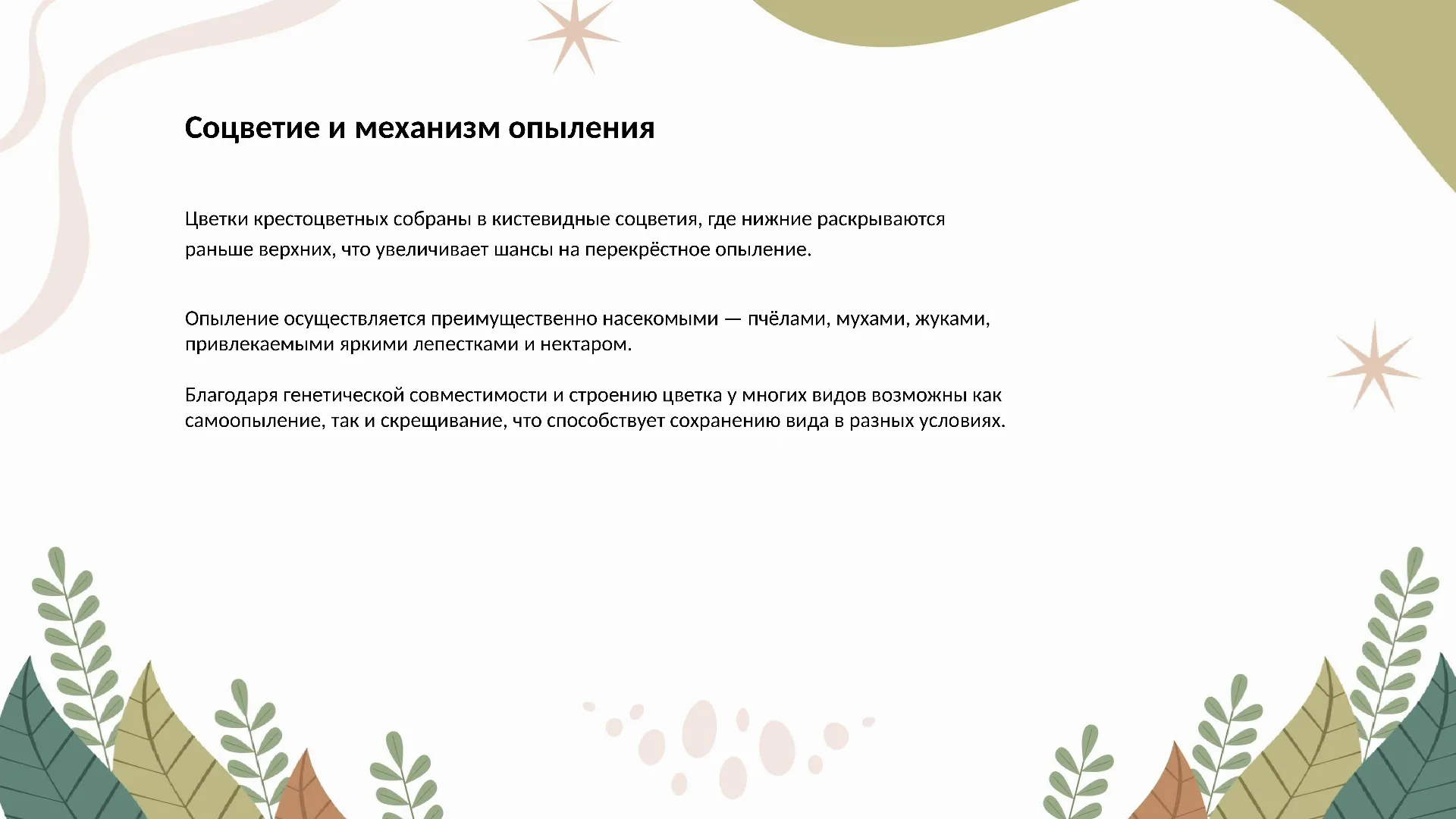 Соцветие и механизм опыления