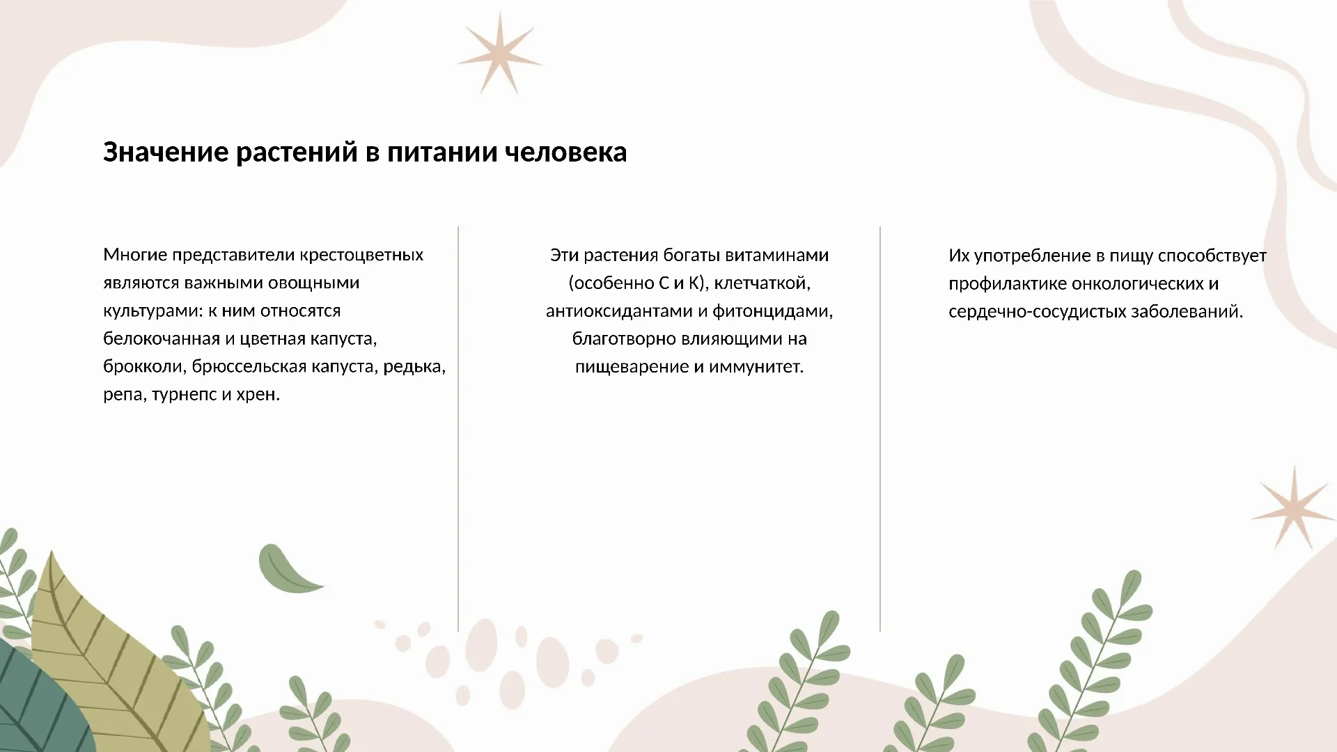 Значение растений в питании человека