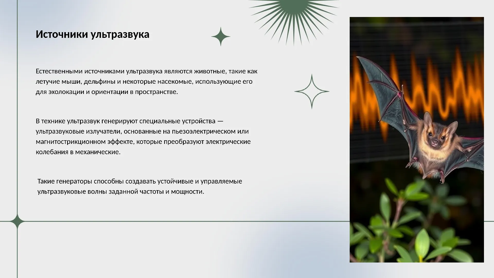 Источники ультразвука